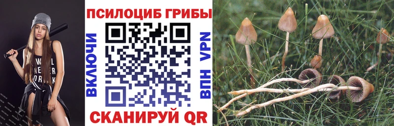 Псилоцибиновые грибы GOLDEN TEACHER  Новошахтинск 