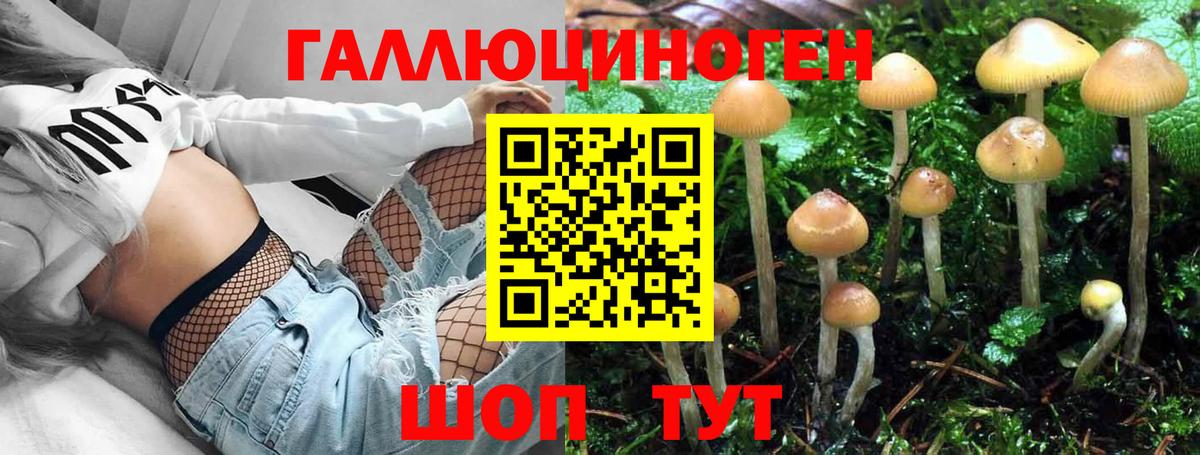 Новошахтинск  Псилоцибиновые грибы прущие грибы  Галлюциногенные грибы Psilocybe  Вход с VPN 