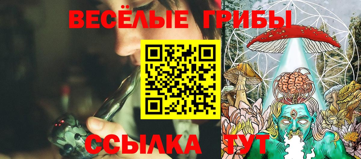 Галлюциногенные грибы Psilocybine cubensis Новошахтинск